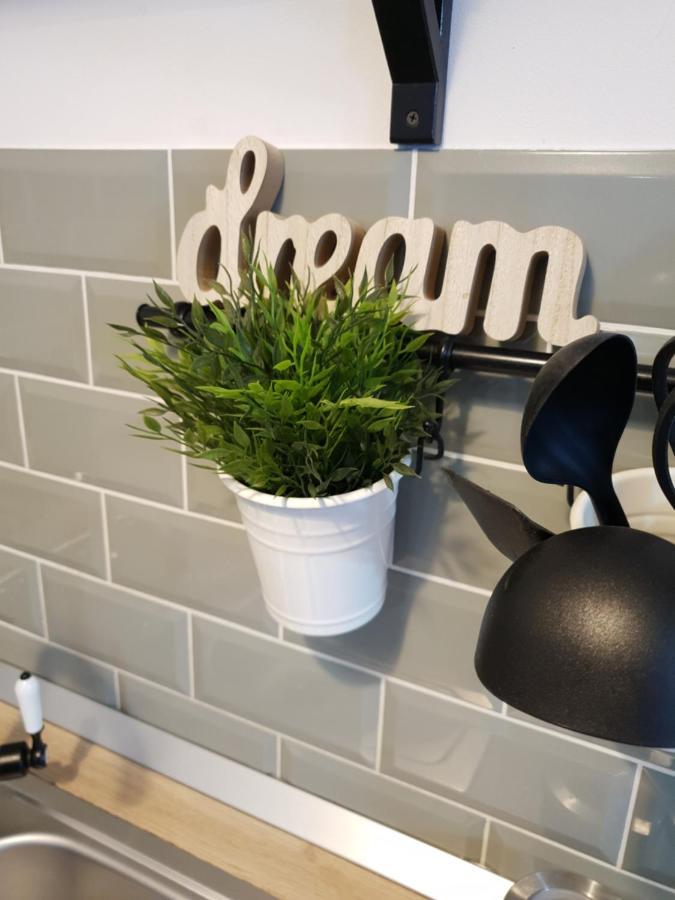 Dream Apartment Petroşani エクステリア 写真