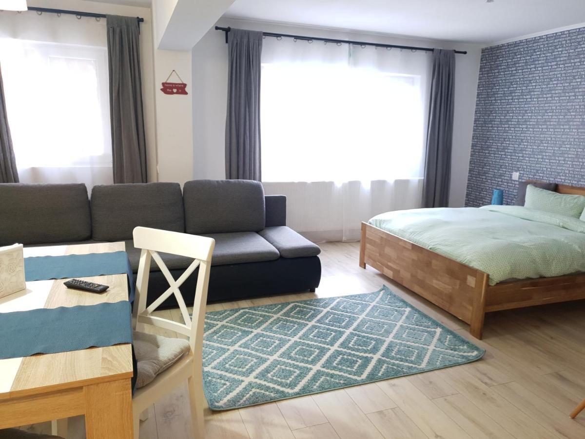 Dream Apartment Petroşani エクステリア 写真